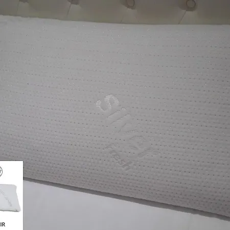 住宿加早餐酒店 Luxury Savini 4*